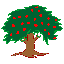 Apple Tree