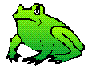 Bull Frog