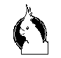 Cockatoo