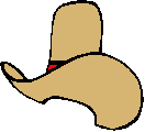 Cowboy Hat