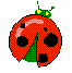 Ladybug No. 2