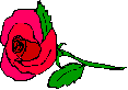 Rose No. 1