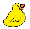 Rubber Ducky
