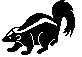 Skunk