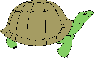 Turtle No. 1