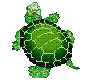 Turtle No. 2